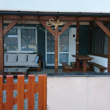 Apartman Sofia Wielki Sławków Zewnętrze zdjęcie