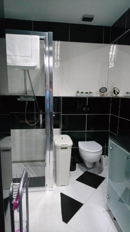 Apartman Sofia Wielki Sławków Zewnętrze zdjęcie